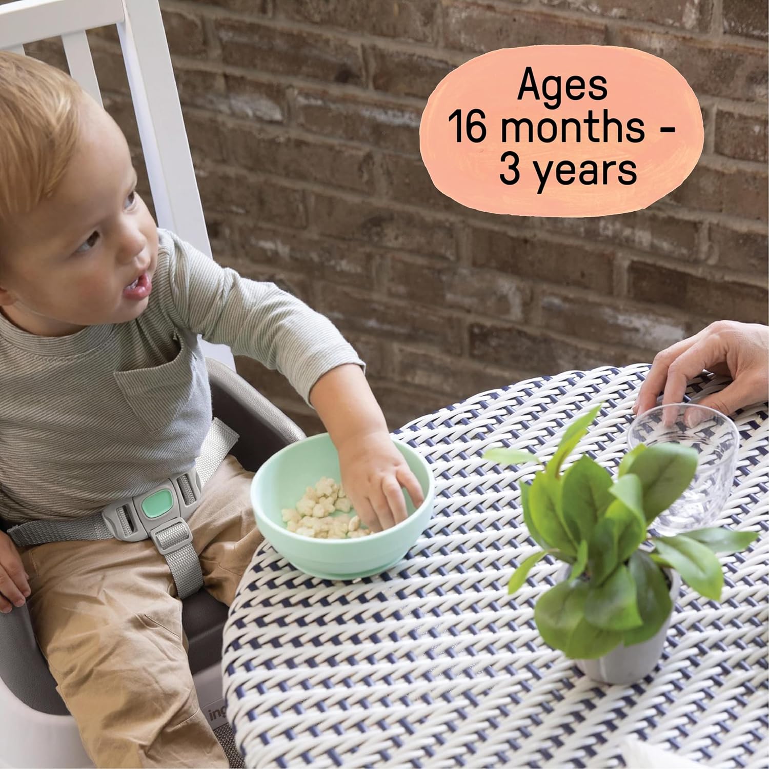 SmartClean Toddler Booster Seat for Kitchen Chair – Lightweight for on-the-go, Easy-Clean, 3-Point Harness Strap –