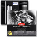 Drawing Sketching Pencil Set, 22 Piece Pro Art Pencil Kit - Graphite Pencils (12B-2H), Black and White Charcoal