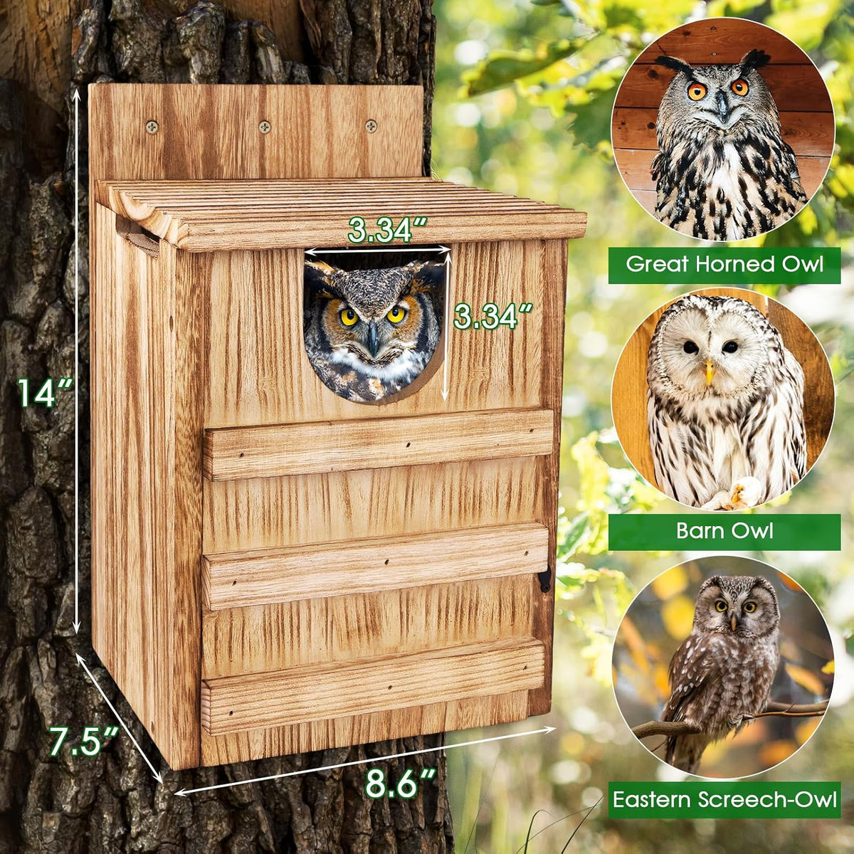 Owl House, Large Wooden Owl Nesting Box for Outside (8.7" x 7.5" x 14.2"), 3.3" Predator-Deterrent Entrance, Side