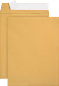 100 6" x 9" Kraft Catalog Envelopes, Self Seal