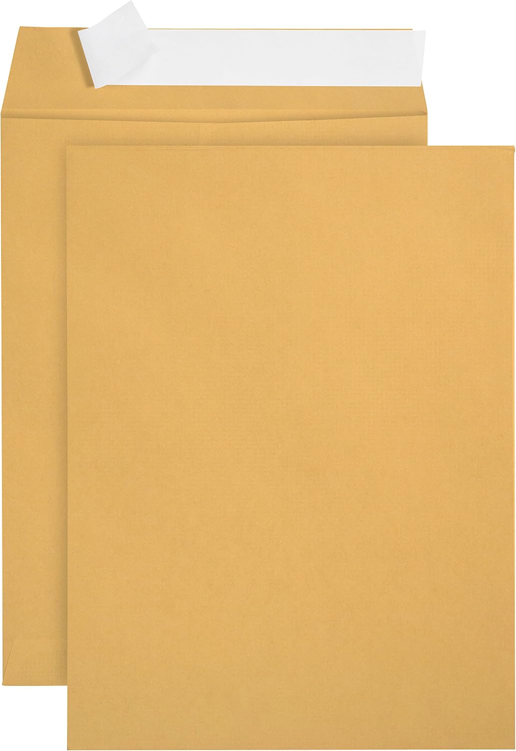 100 6" x 9" Kraft Catalog Envelopes, Self Seal