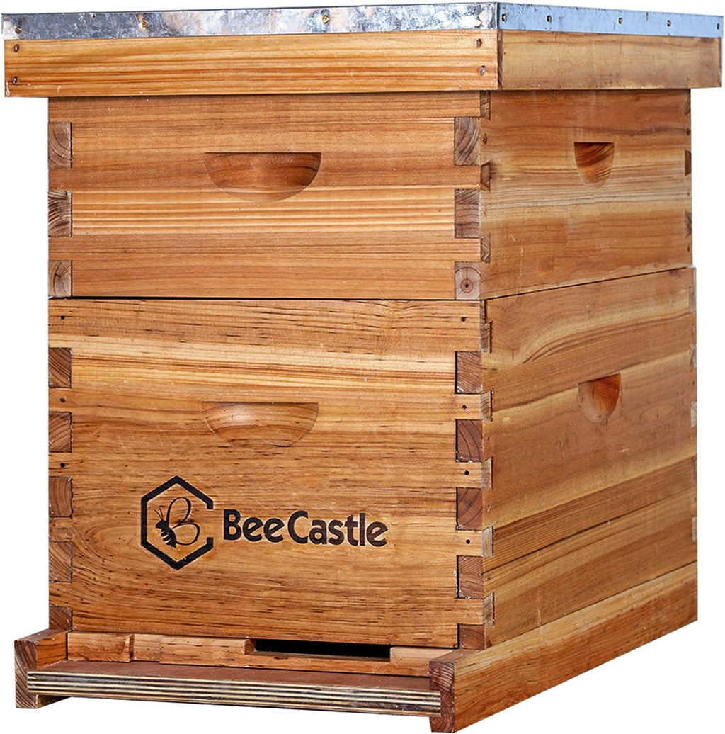 10-Frames Complete Beehive Kit, 100% Beeswax Coated Bee Hive Includes Beehive Frames and Beeswax Coated Foundation