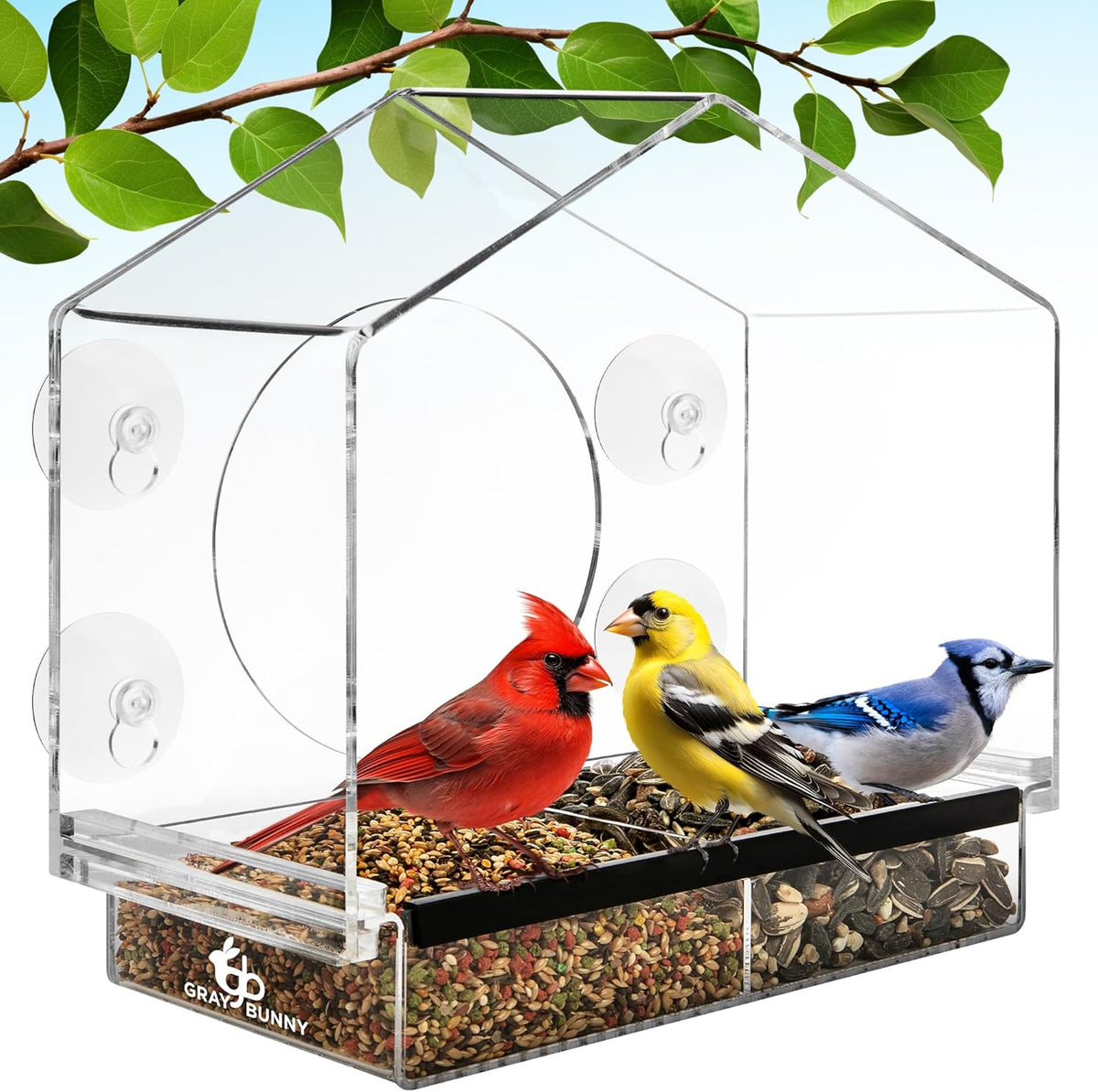 Window Bird Feeder House – Suction Cup Mount Feeder