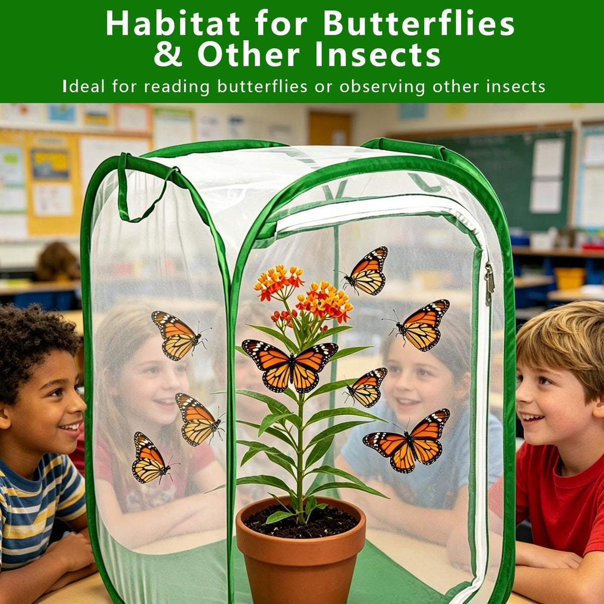 Butterfly House Habitat Insect Cage Clear See Through Pop-up Collapsible Butterfly Enclosure-Medium 15.8"x15.8"x23.6"