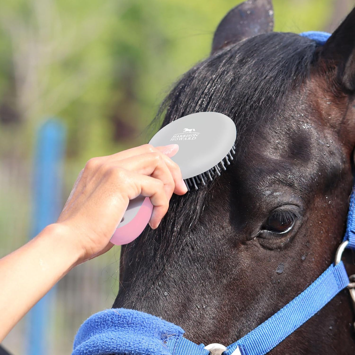 Horse Mane and Tail Brush, Professional Grooming Brush