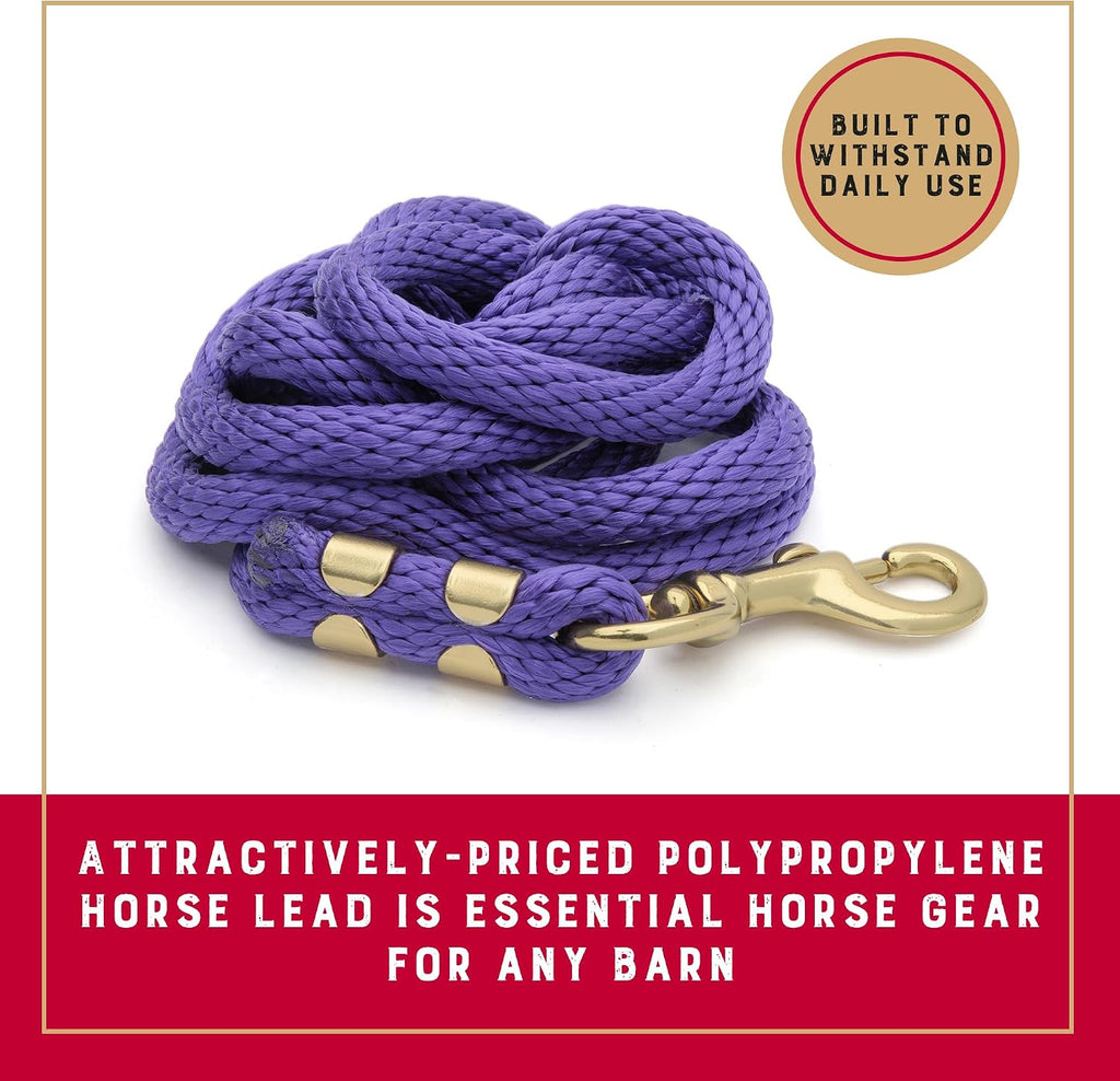 8' Horse Lead Rope with Brass-Plated Snap