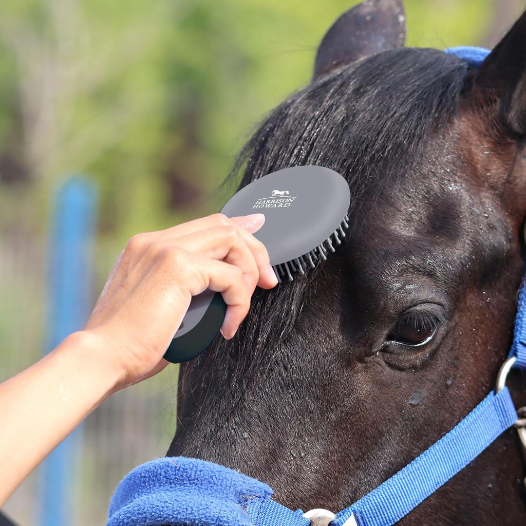 Horse Mane and Tail Brush, Professional Grooming Brush