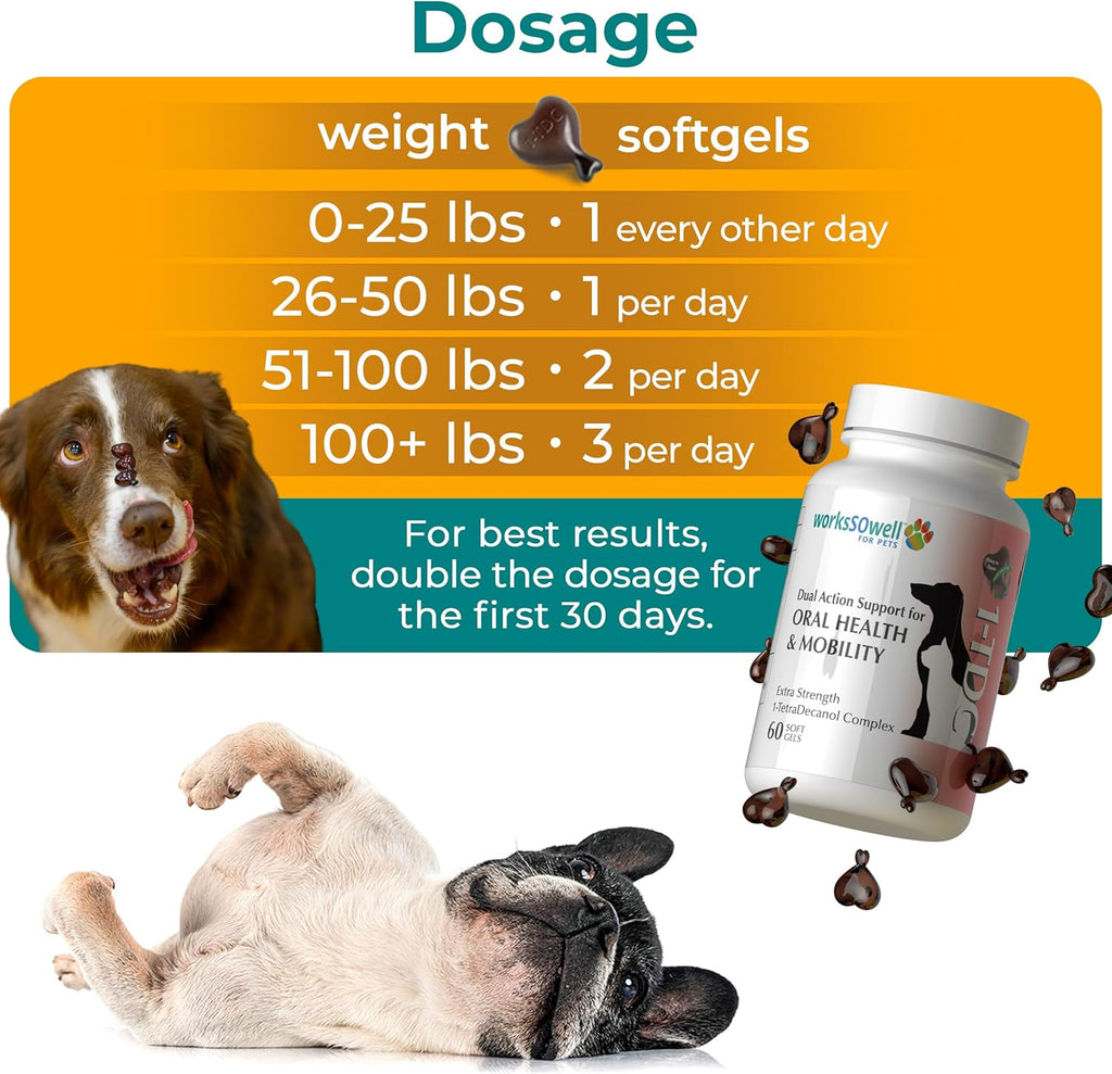 WorksSoWell Dual Action Hip and Joint Supplement for Dogs & Cats - for Large & Small Breed - Great for Oral