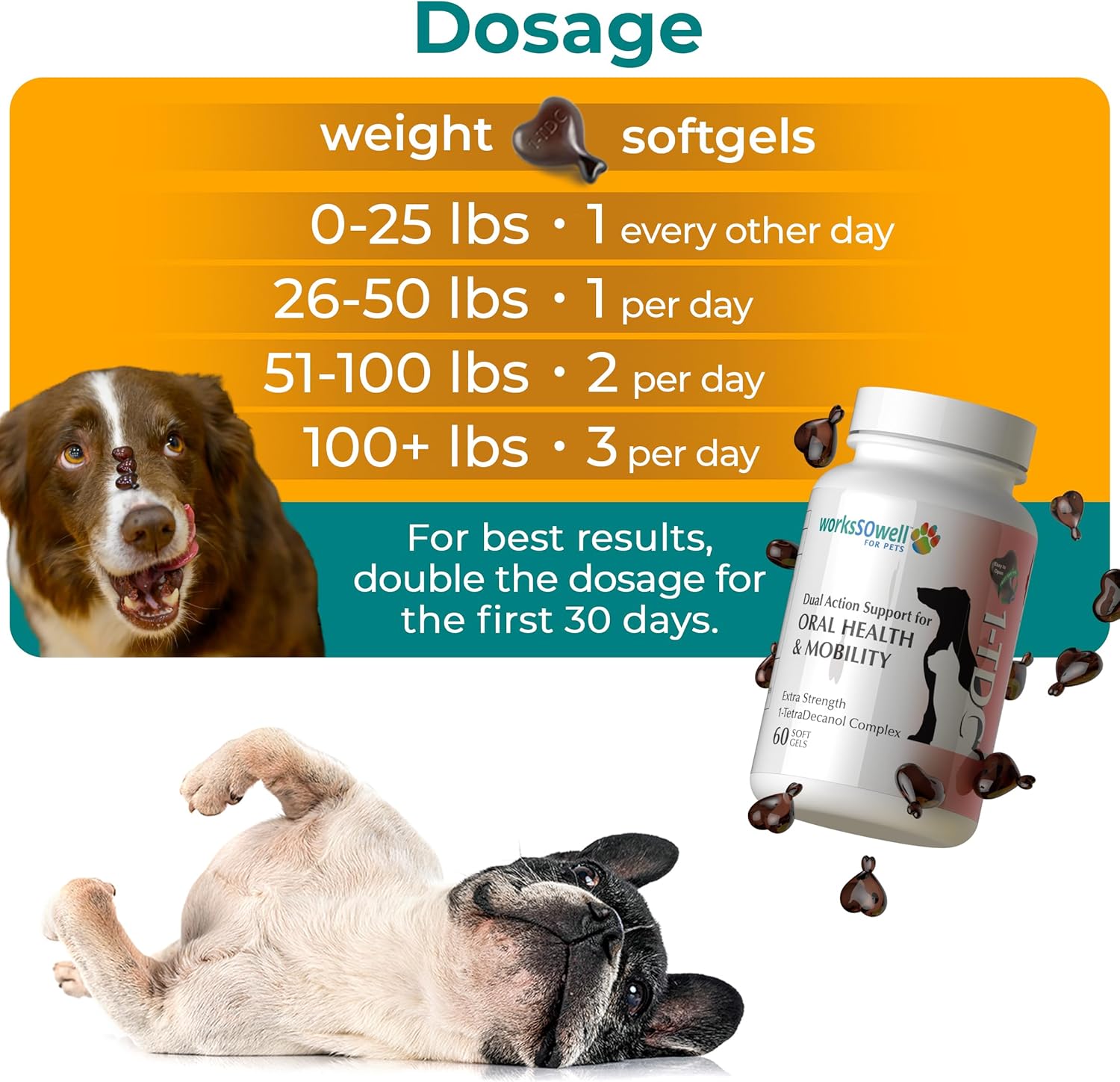 WorksSoWell Dual Action Hip and Joint Supplement for Dogs & Cats - for Large & Small Breed - Great for Oral