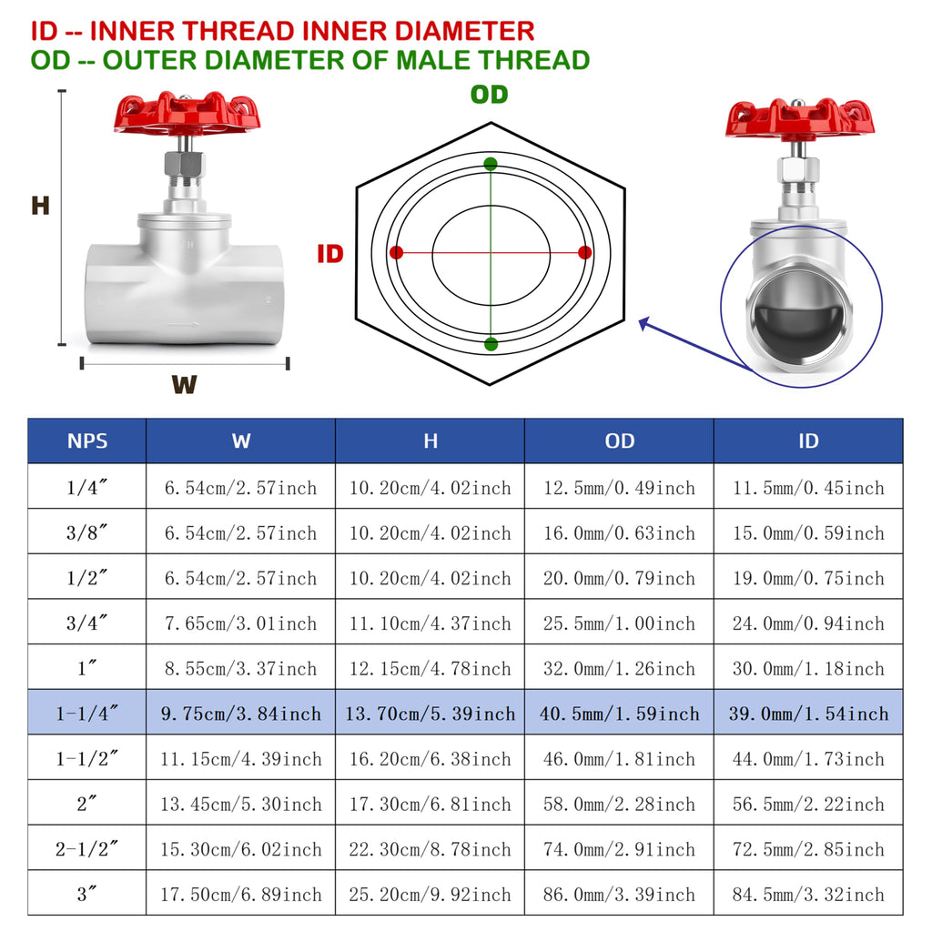 1-1/4" NPT B-Type Straight Pattern Globe Valve Stainless Female Thread DN32