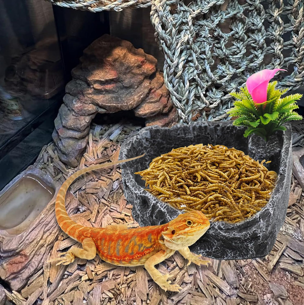 Reptile Water Dish Food Bowl,Corner Rock Terrarium Feeding Bowl Hermit Crab Water,Reptile Feeder Food and Water
