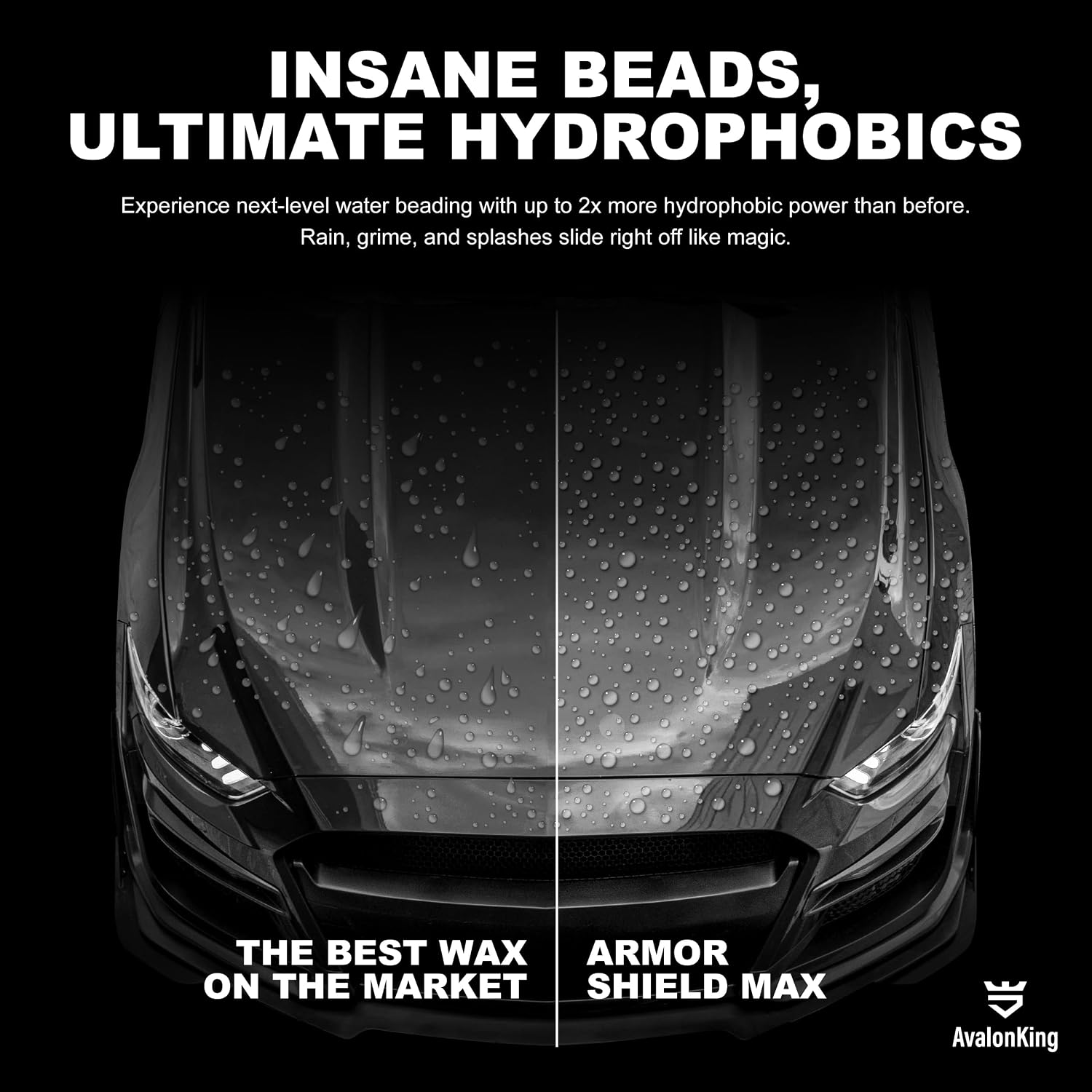 Armor Shield IX MAX DIY Ceramic Coating Kit | Clear Coat for Cars | Car Detailing Kit | Car Care Kit | Ceramic