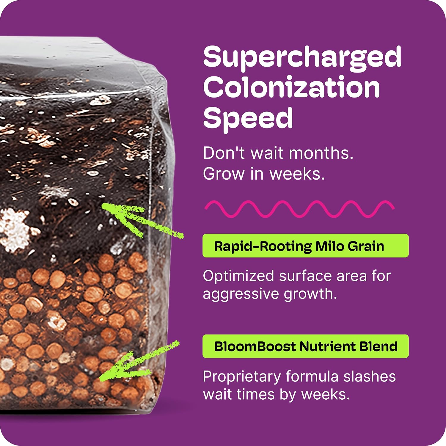 Mushroom Grow Kit – All-in-One 2LB (2-Pack) Grow Bag with Self-Healing Port – Fast-Colonizing Universal Substrate for