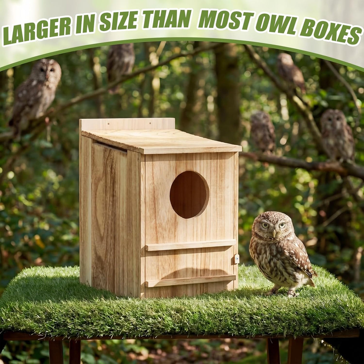 2 Pcs Owl House 16x12x11in Carbonized Wood Nesting Box for Owls