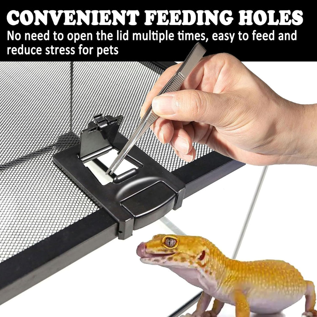 Mini Reptile Glass Terrarium Tank,8"x8"x6" Small Reptile Enclosure Cage | Full View Geckos Enclosure Tank Habitat