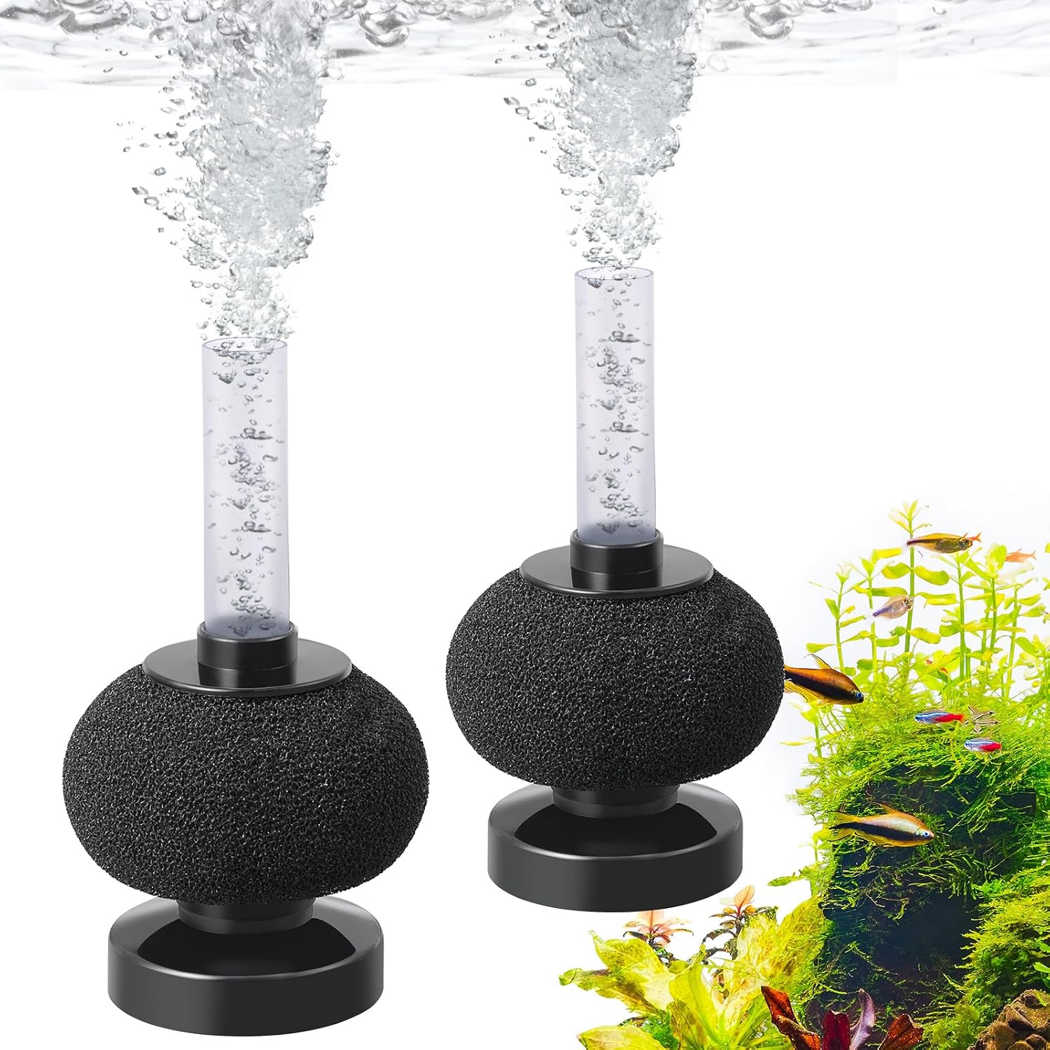 2 Pack Aquarium Bio Sponge Filter: Diameter 2.5in Mini Air-Powered Fish Tank Filter, Quiet Small Sponge Filter for up