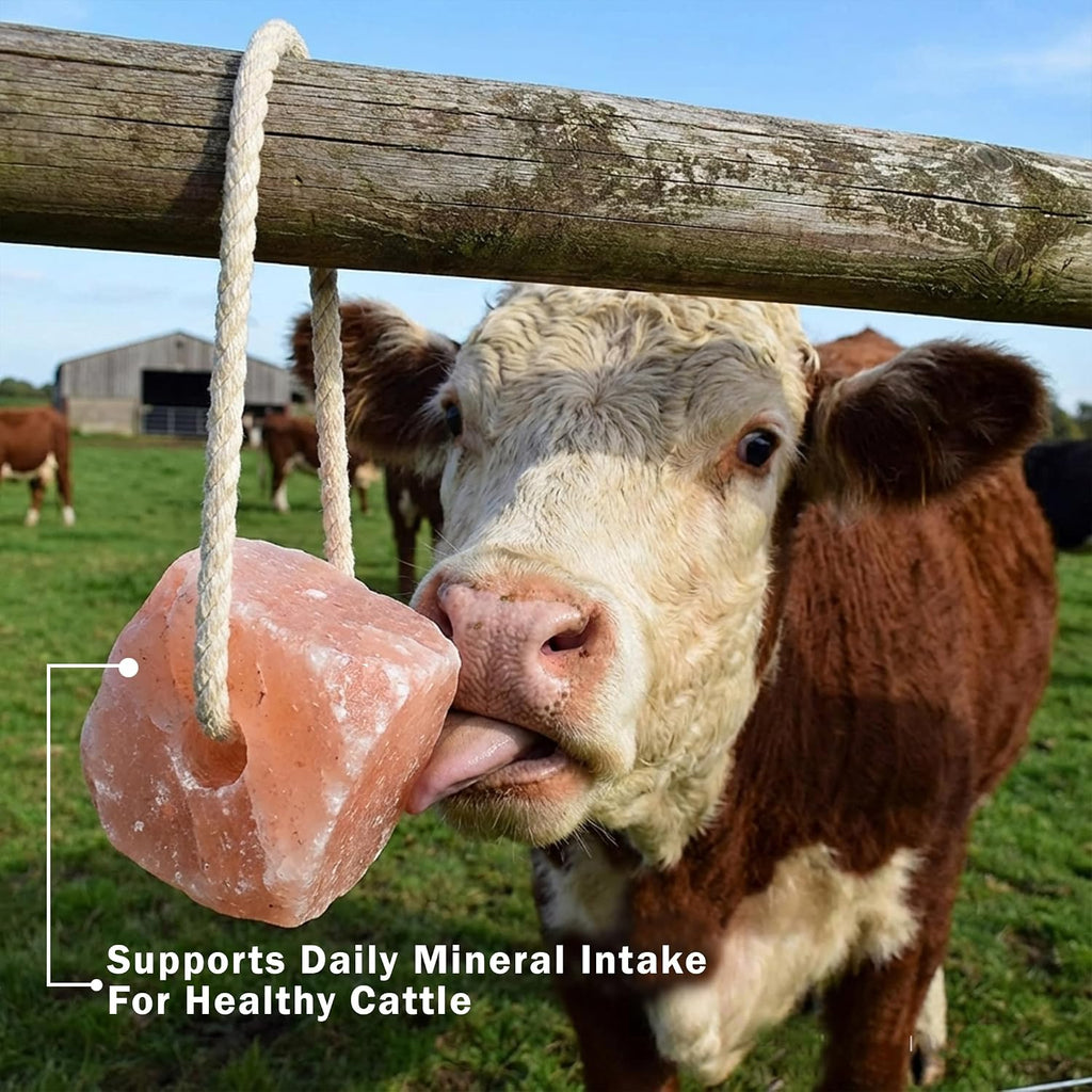 100% Organic Himalayan Salt Lick Provides Essential Minerals for Your Horse/Livestock. This 4.4 lbs Natural Pink Salt