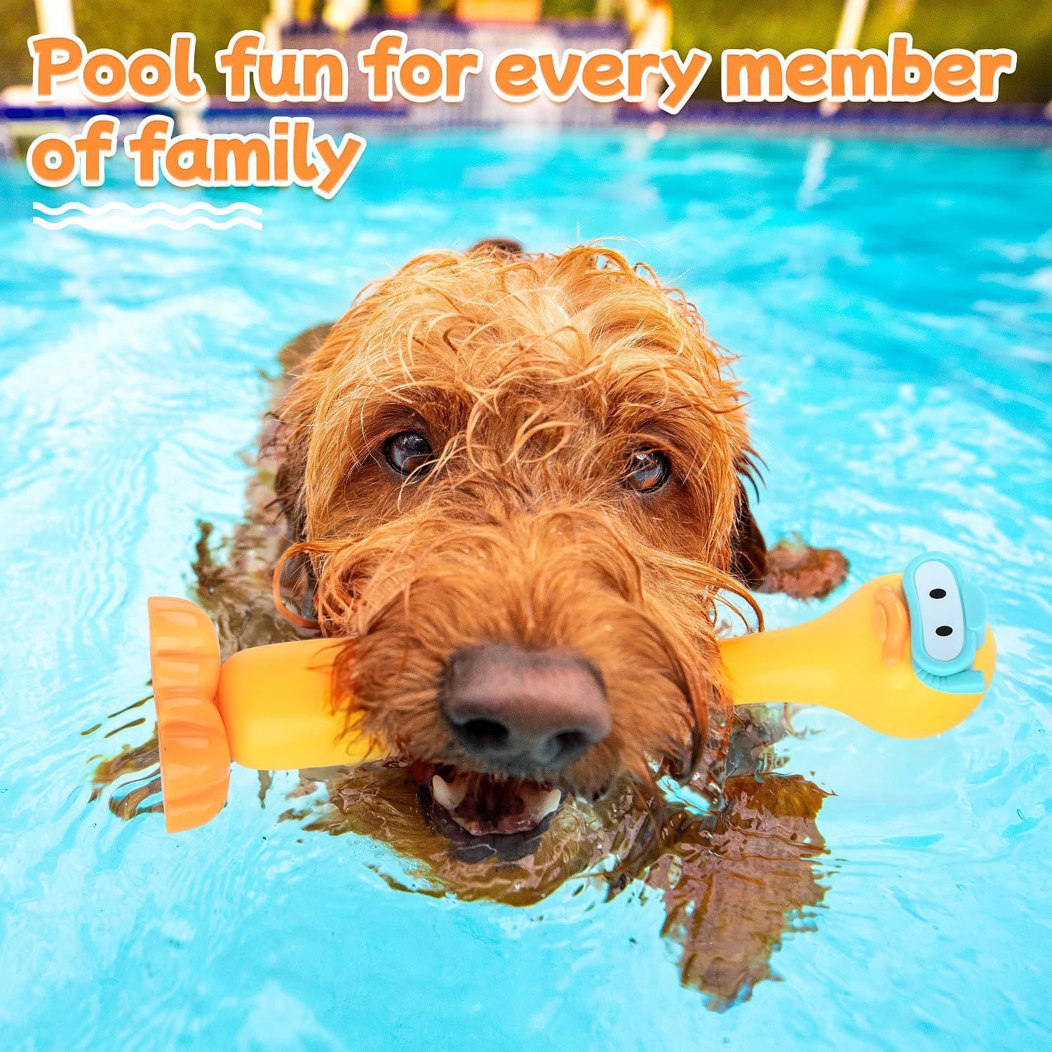 Pool Diving Toys for Kids, 9 PCS Swimming Pool Diving Rings, Summer Duck Dive Sticks with Duck Float Toys for Kids