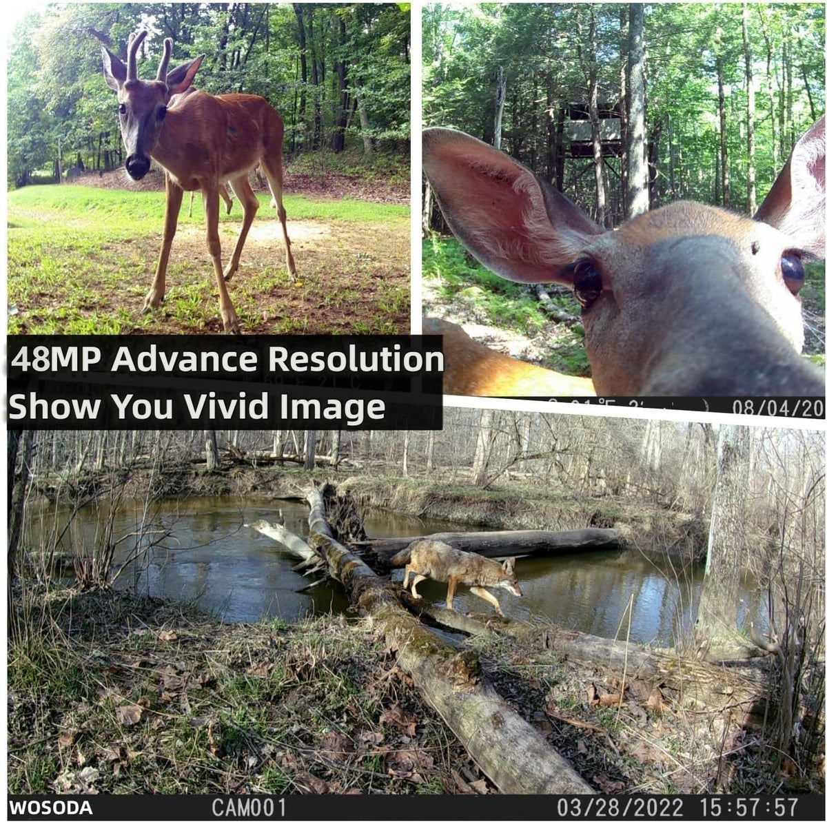 2 Pack Trail Cameras with Night Vision Motion Activated Waterproof,48MP Hunting Game Camera,1080P HD Trail Cam for