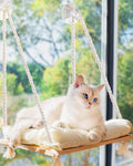 Cat Window Perch with Industrial-Grade Suction Cups - Solid Pine Wood Hammock Bed, Soft Cushion - 42 lb Capacity for