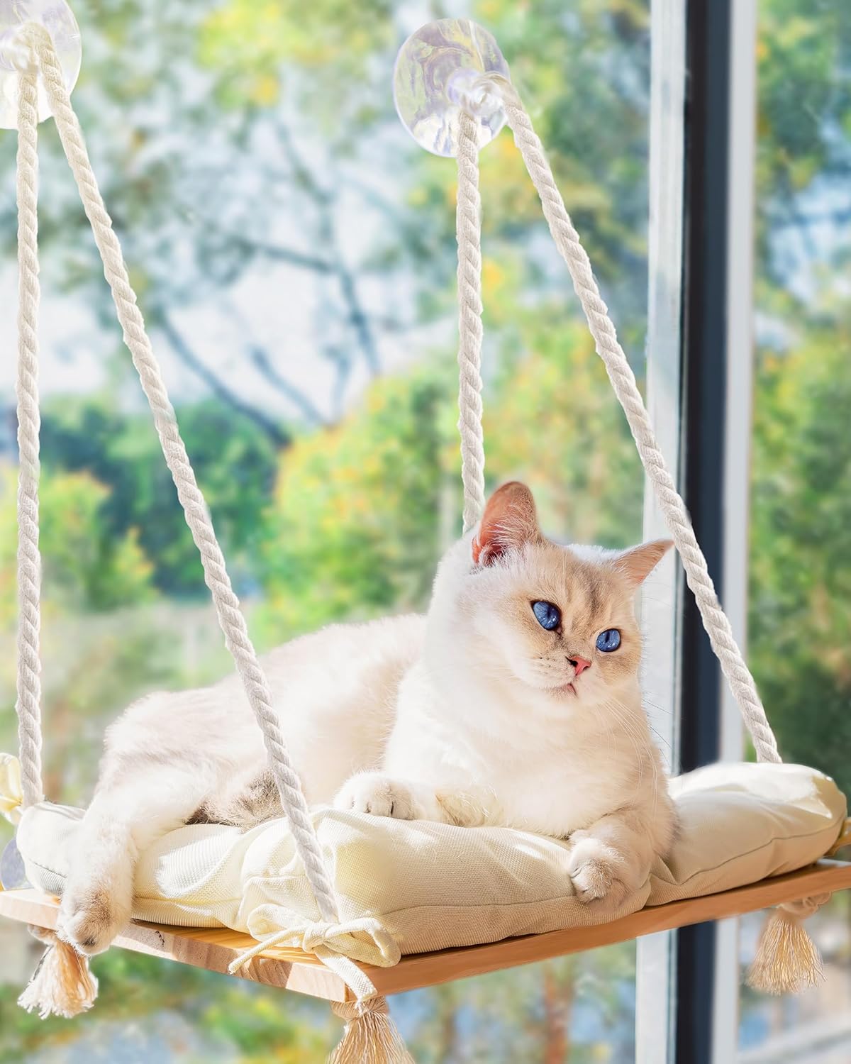 Cat Window Perch with Industrial-Grade Suction Cups - Solid Pine Wood Hammock Bed, Soft Cushion - 42 lb Capacity for