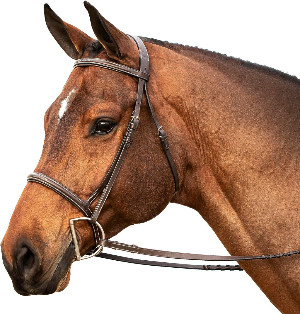 Saga Adjustable Padded Fancy Stitched Hunter Bridle with Reins