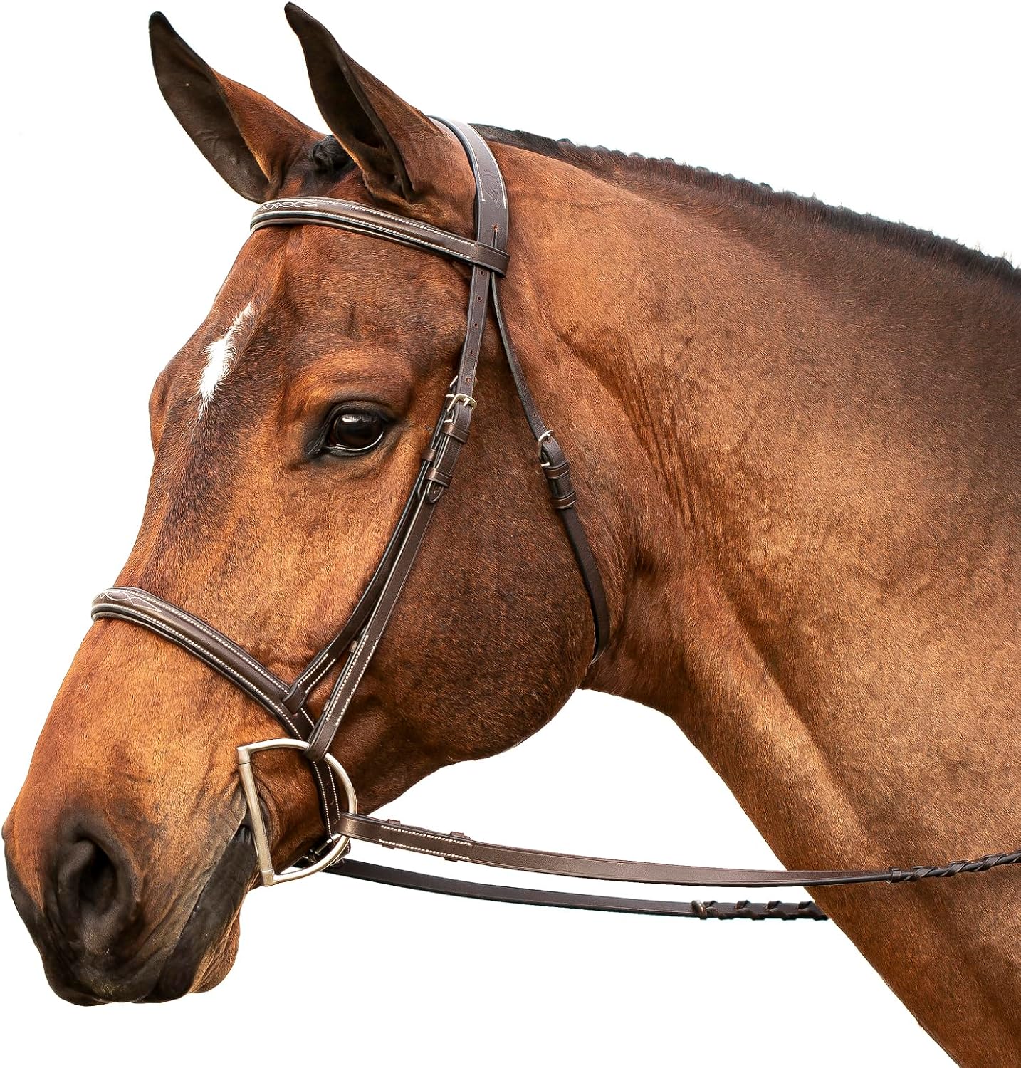 Saga Adjustable Padded Fancy Stitched Hunter Bridle with Reins