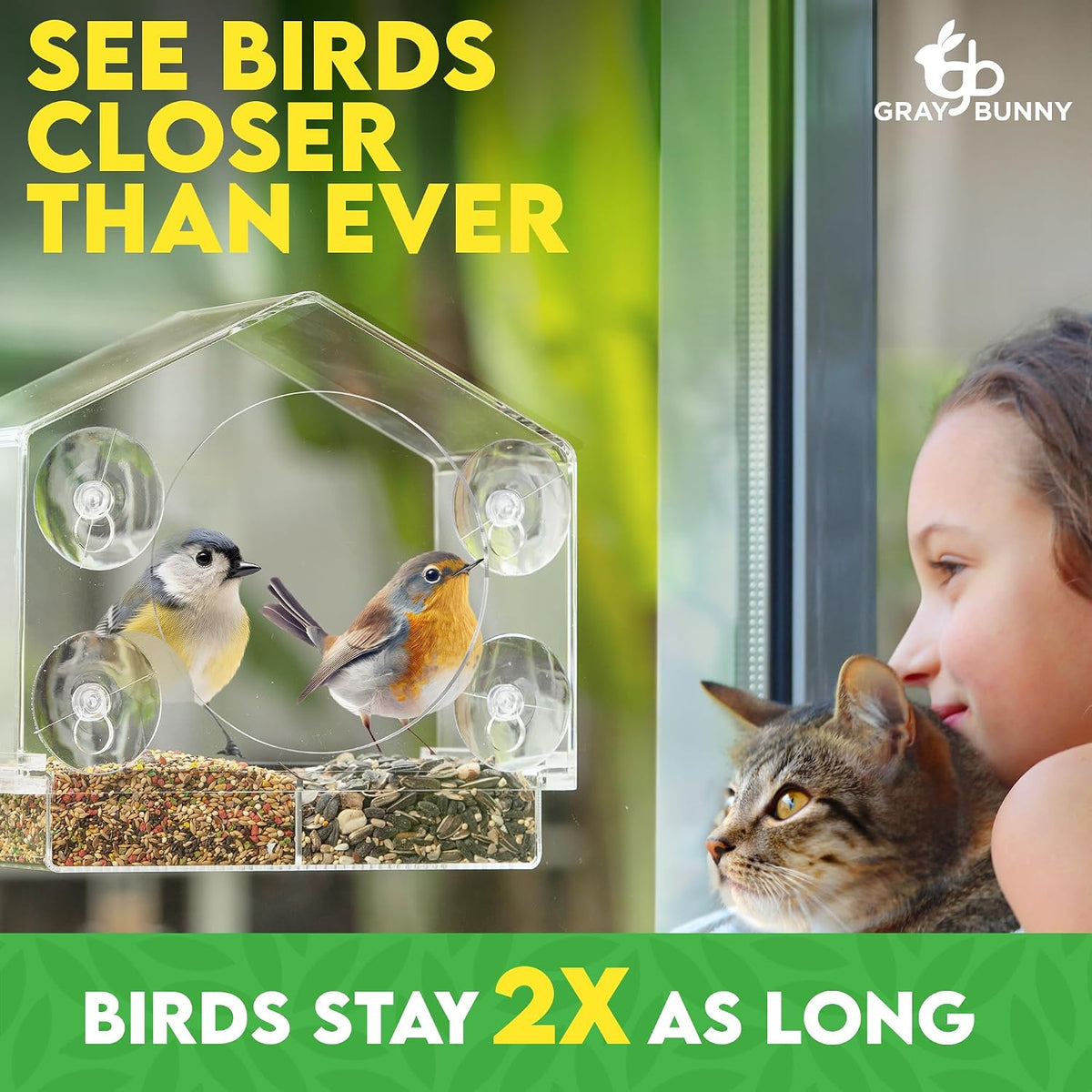 Window Bird Feeder House – Suction Cup Mount Feeder