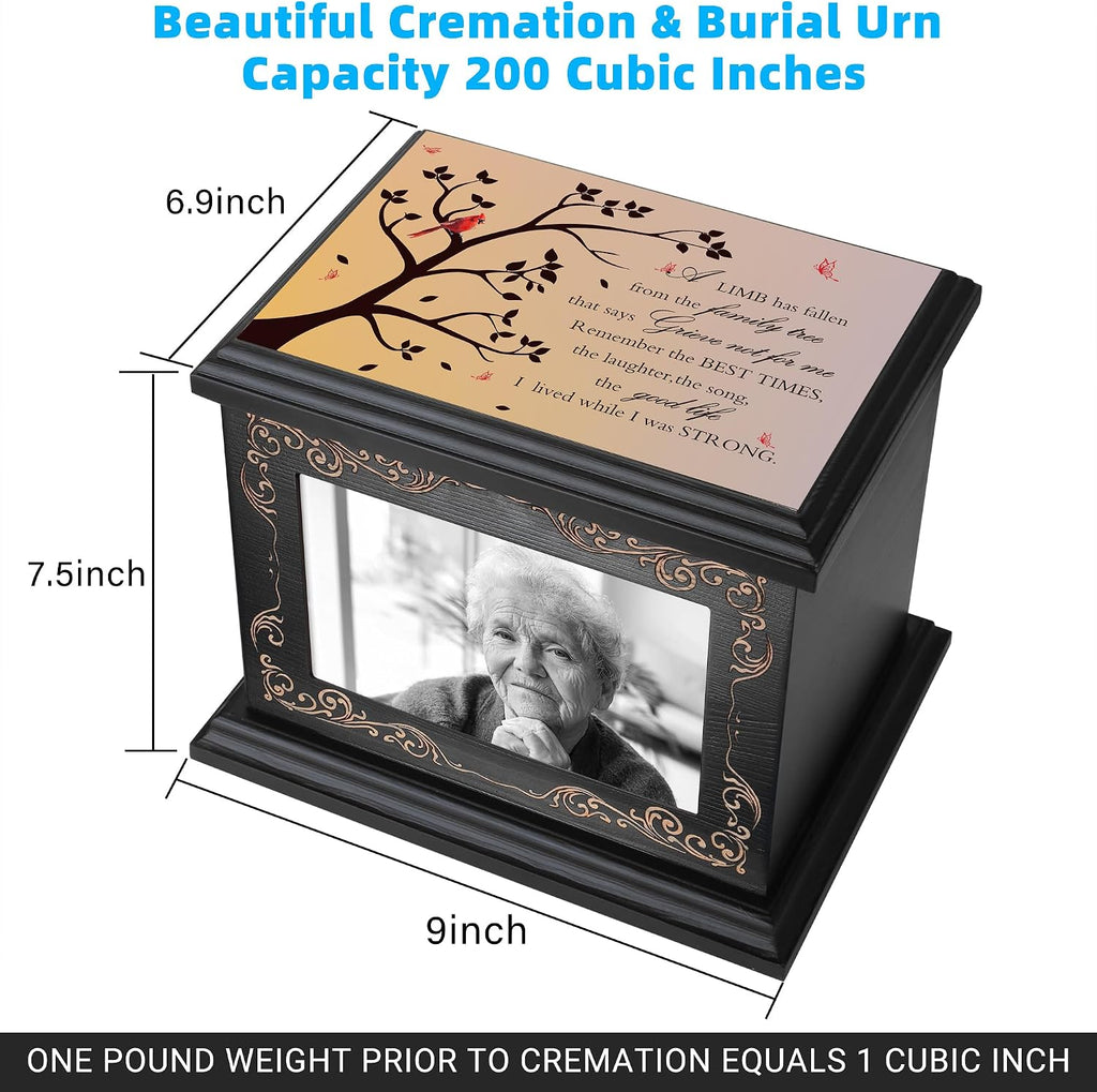 Cremation Urns for Human Ashes Adult Up to 200 IBS with Photo Frame