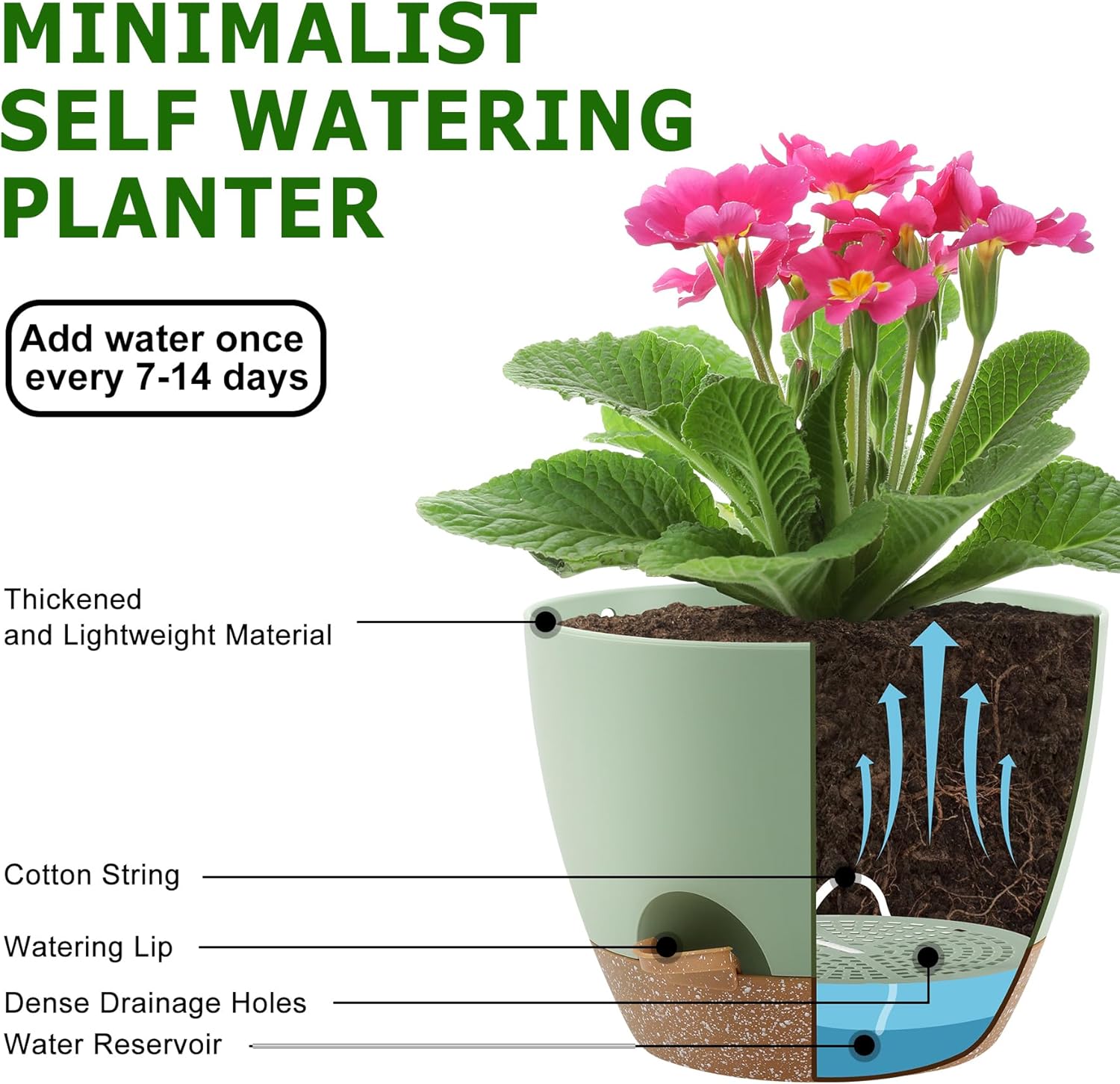 Plant Pots 10/9/8/7.5/7 Inch Self Watering Pots, Set of 5 Plastic Planters with Drainage Holes and Saucers,Plastic