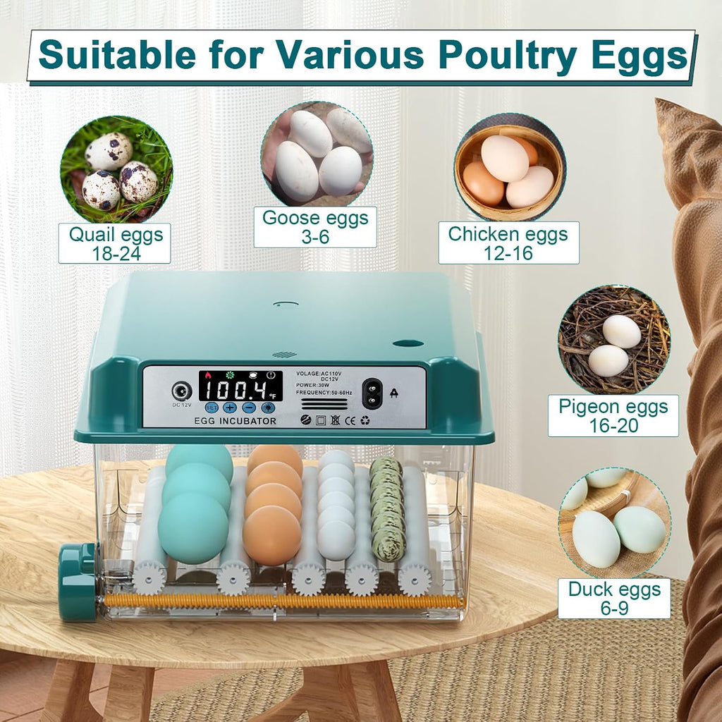 16 Eggs Incubators for Hatching Eggs, Egg Incubator with Automatic Egg Turning and Temperature Control, Chicken Egg