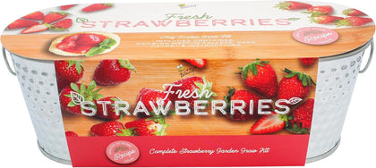 Seeds Alpine Strawberry Grow Kit - Metal Windowsill Planter - Complete Indoor/Outdoor Gardening Kit with Seeds