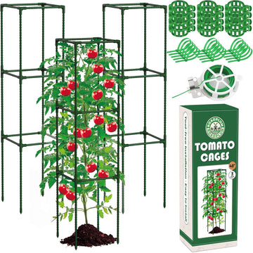 Plant Supports & Trellises