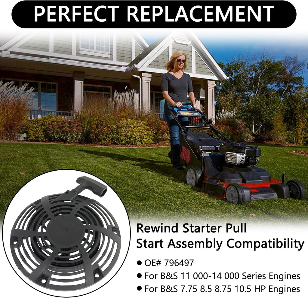 796497 Rewind Recoil Starter Pull Starter Assembly