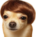 Dog Wig Pet Costumes, Cat Costume Synthetic Accessories Small Dog Headwear for Halloween Christmas Eve Festival Party