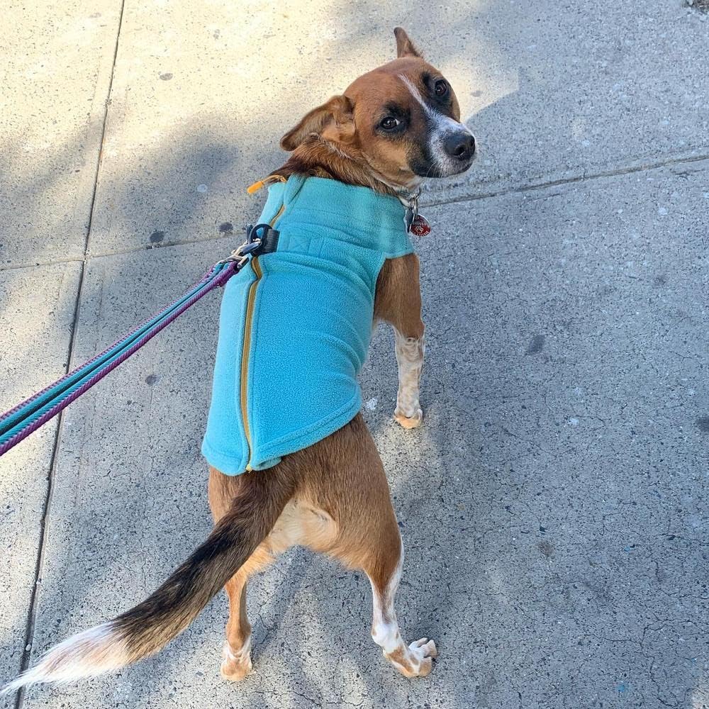 Zip Up Fleece Vest, Fleece Jacket Sweater with Zipper Closure and Leash Ring, Turquoise, Medium