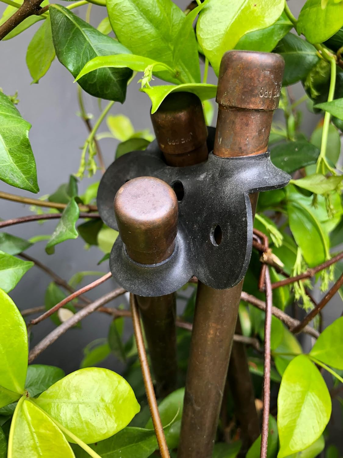 PLANT SUPPORT MADE EASY Stretch Rubber Plant Stake Connecters, 6-Pack, Model:GC-2006