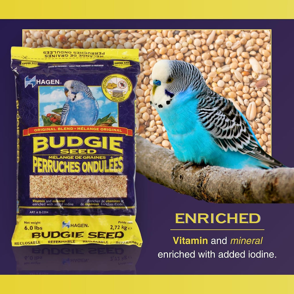 Parakeet/Budgie Staple White Millet Bird Seed - 6 lb Bag | Premium Blend, Nutritionally Balanced, Fortified with