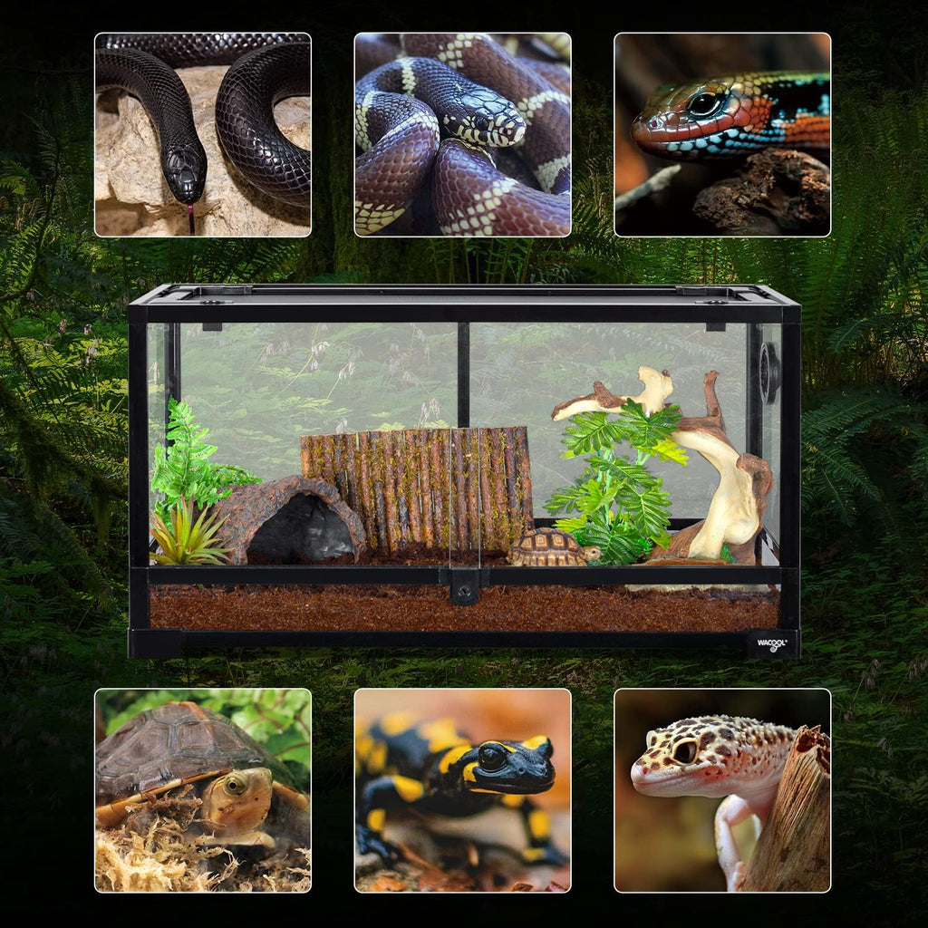 Large Reptile Tank 25 Gallon, 360°Full Vision Glass Reptile Terrarium with Top Mesh Lid for Beaded Dragon Lizard
