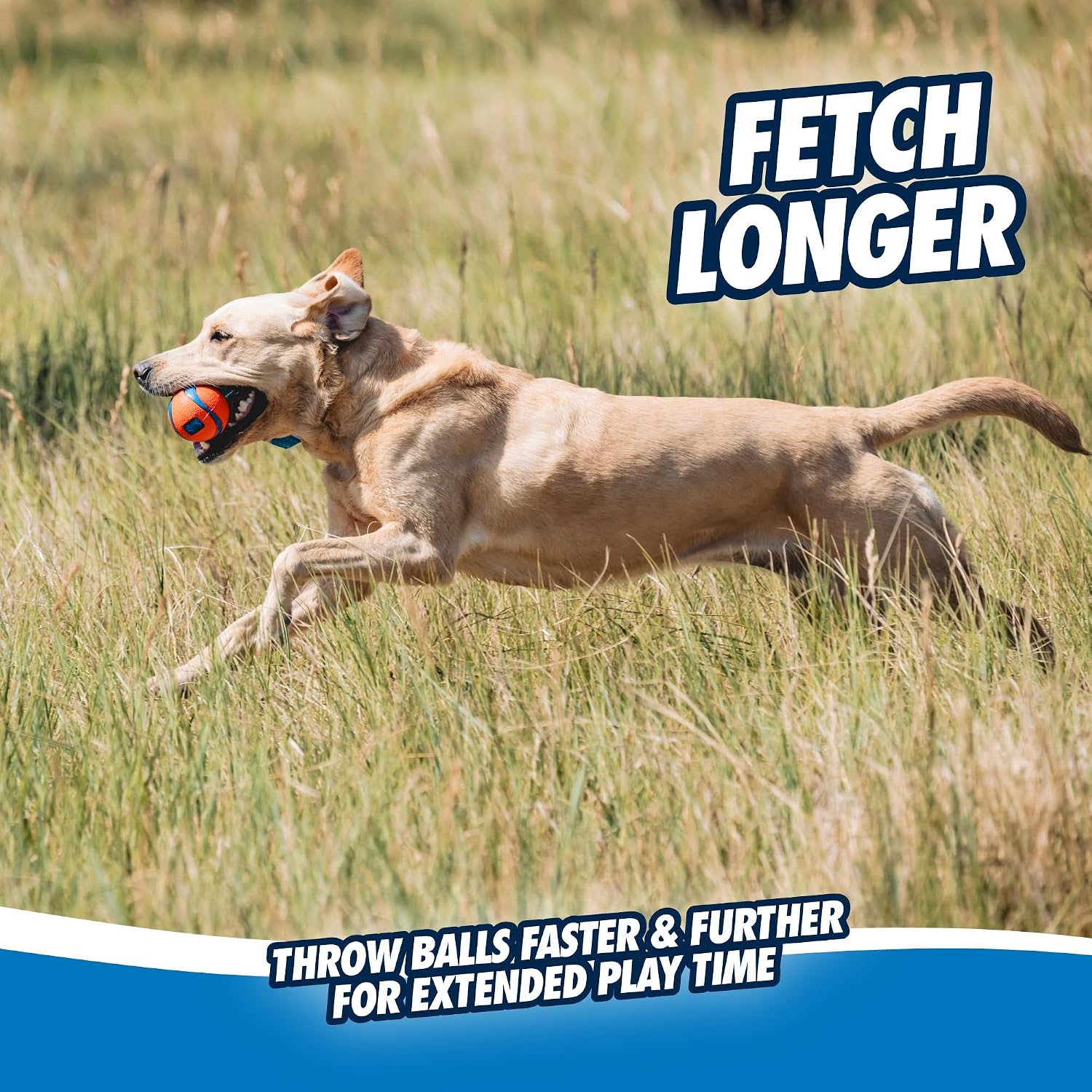 Ultra Tug Dog Toy, Medium Fetch and Dog Ball Tug Toy for Dogs 20-60 Pounds