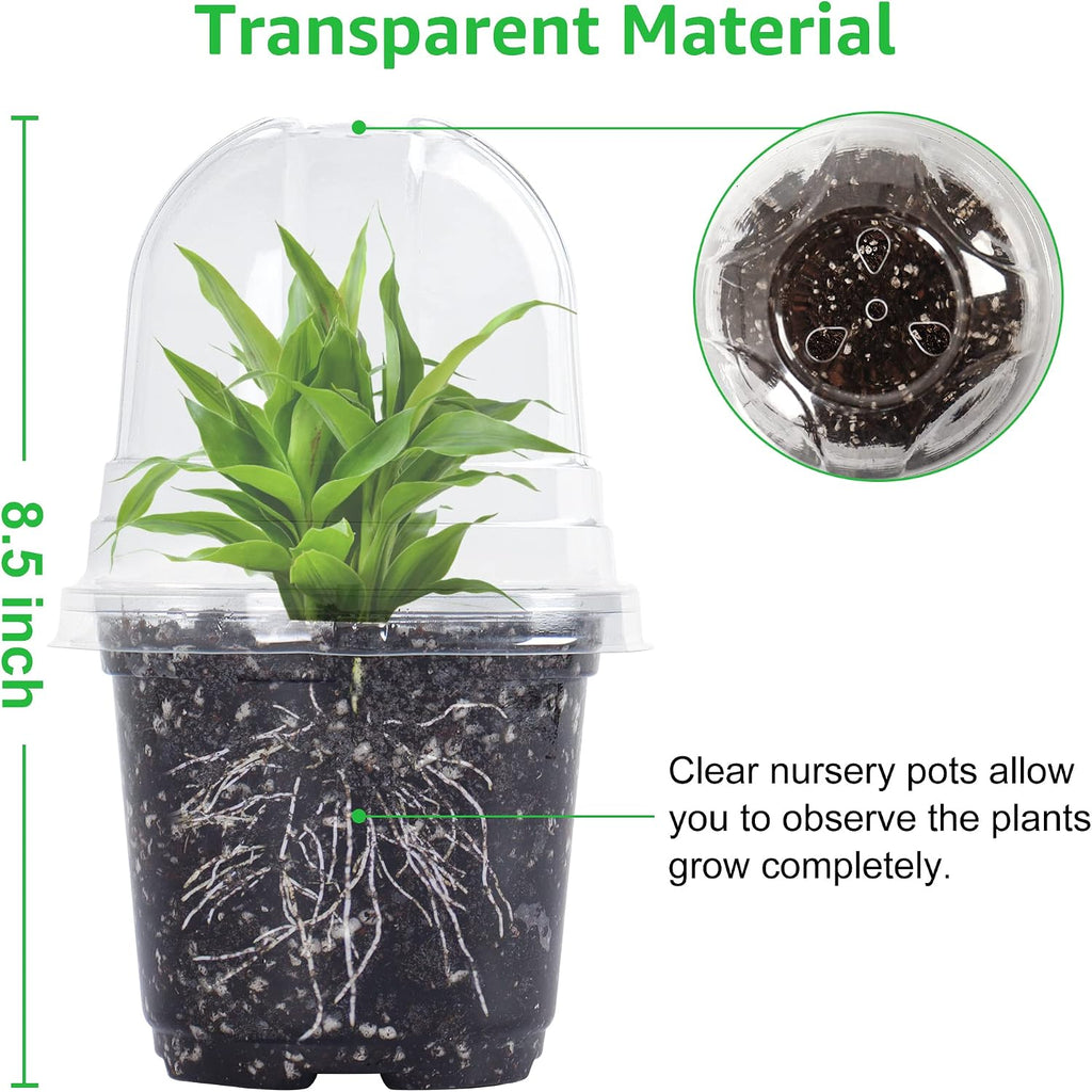 Clear Nursery Pots with Humidity Domes, 3.5/4/5 Inch, 36-Pack | Clear PET, 12 Each of 3 Sizes, Root and Moisture