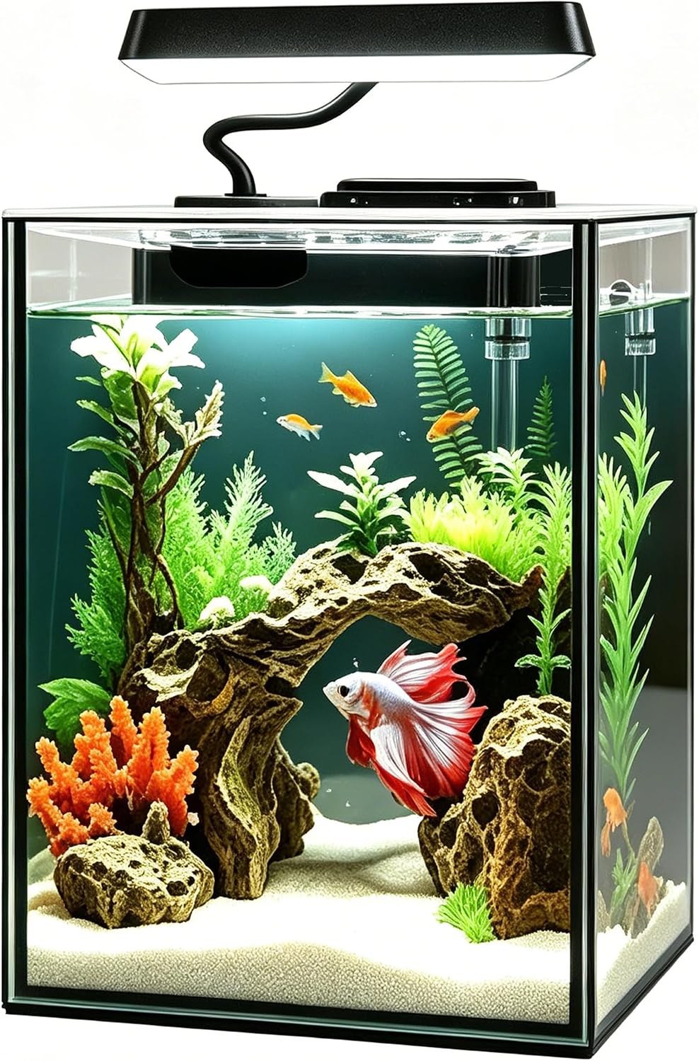 Glass Betta Aquarium Starter Kits 1.5 Gallon Small Fish Tank, Betta Fish Tank with LED Light, Power Filter, Black.