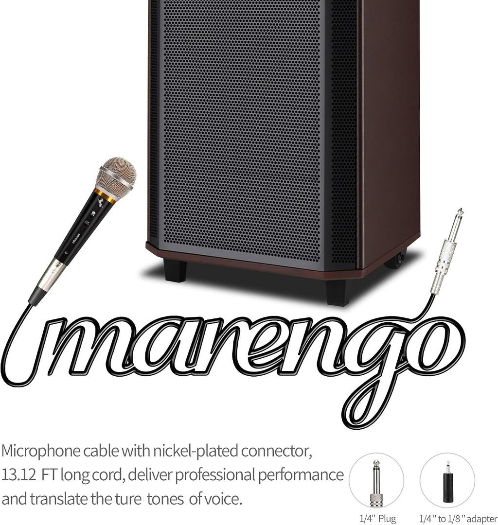 Handheld Dynamic Microphone for Karaoke Singing, Wired XLR Microphone with On and Off Switch and 13ft Detachable XLR