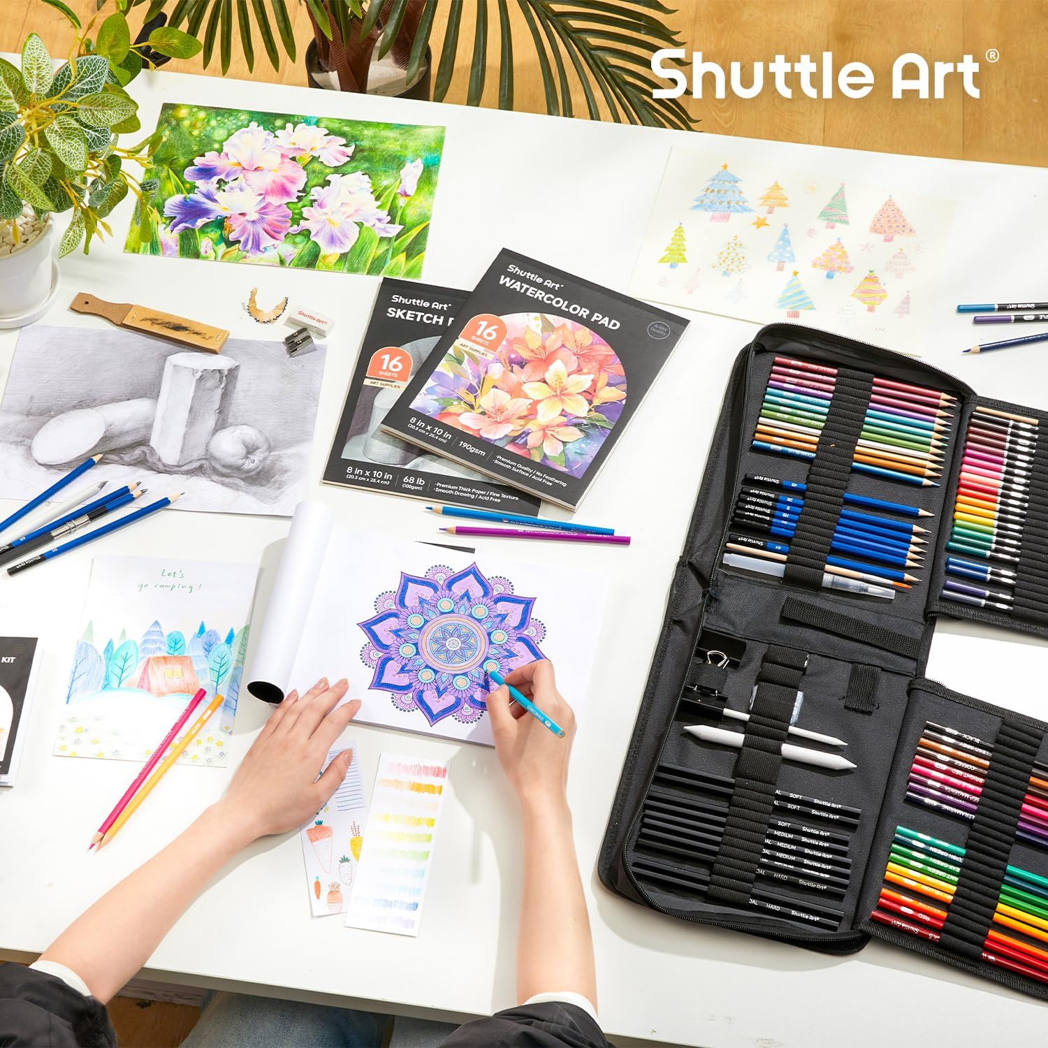103 PCS Drawing Kit, Professional Drawing Supplies with Sketch, Charcoal, Colored, Graphite, Pastel Pencils & Sticks
