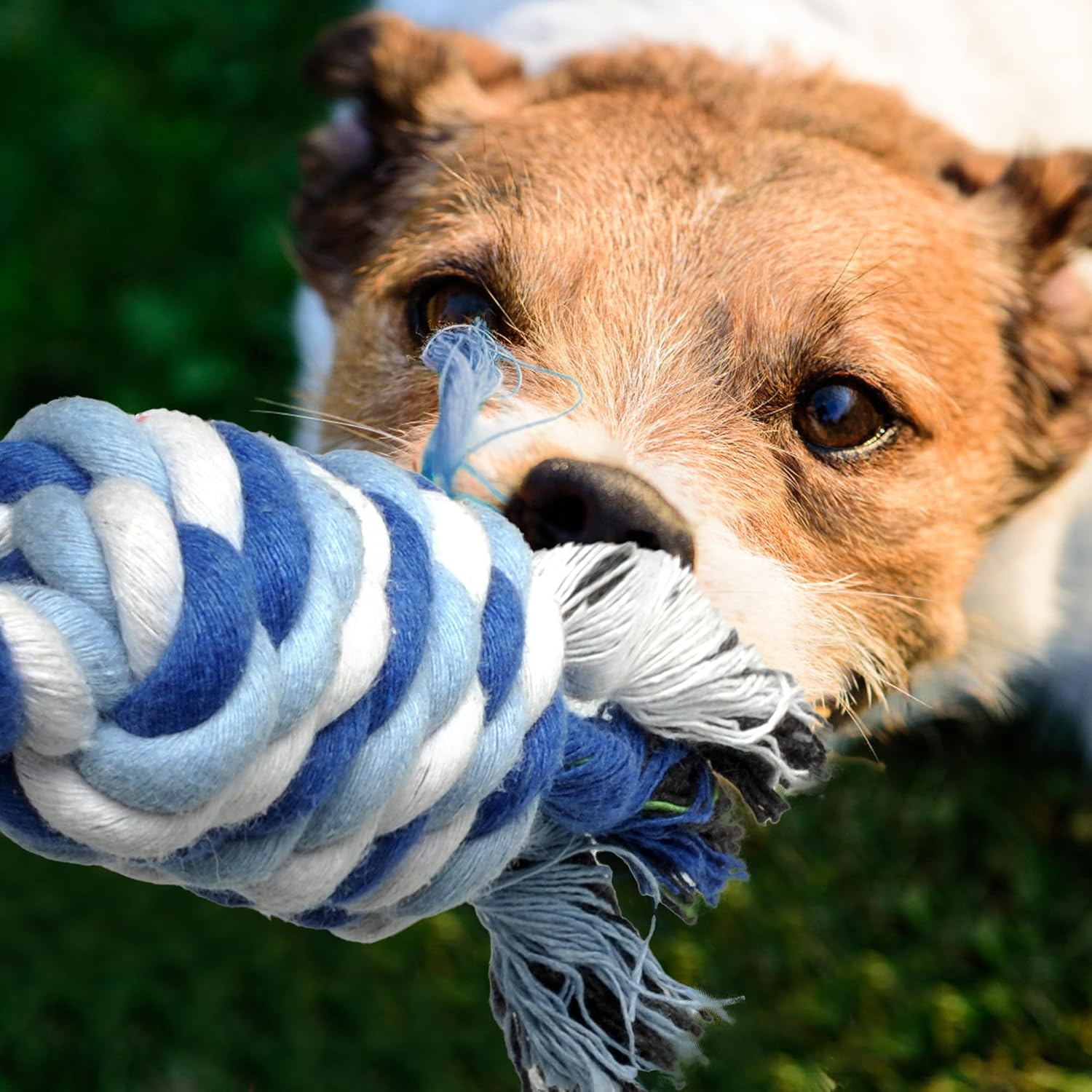 Dog Rope Toy 4 Pack - Puppy Teething Toys for Small Breed - Indestructible Dog Chew Toys for Aggressive Chewers
