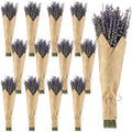 12 Pack Total 2280 Stems Dried Lavender Bundle Bulk