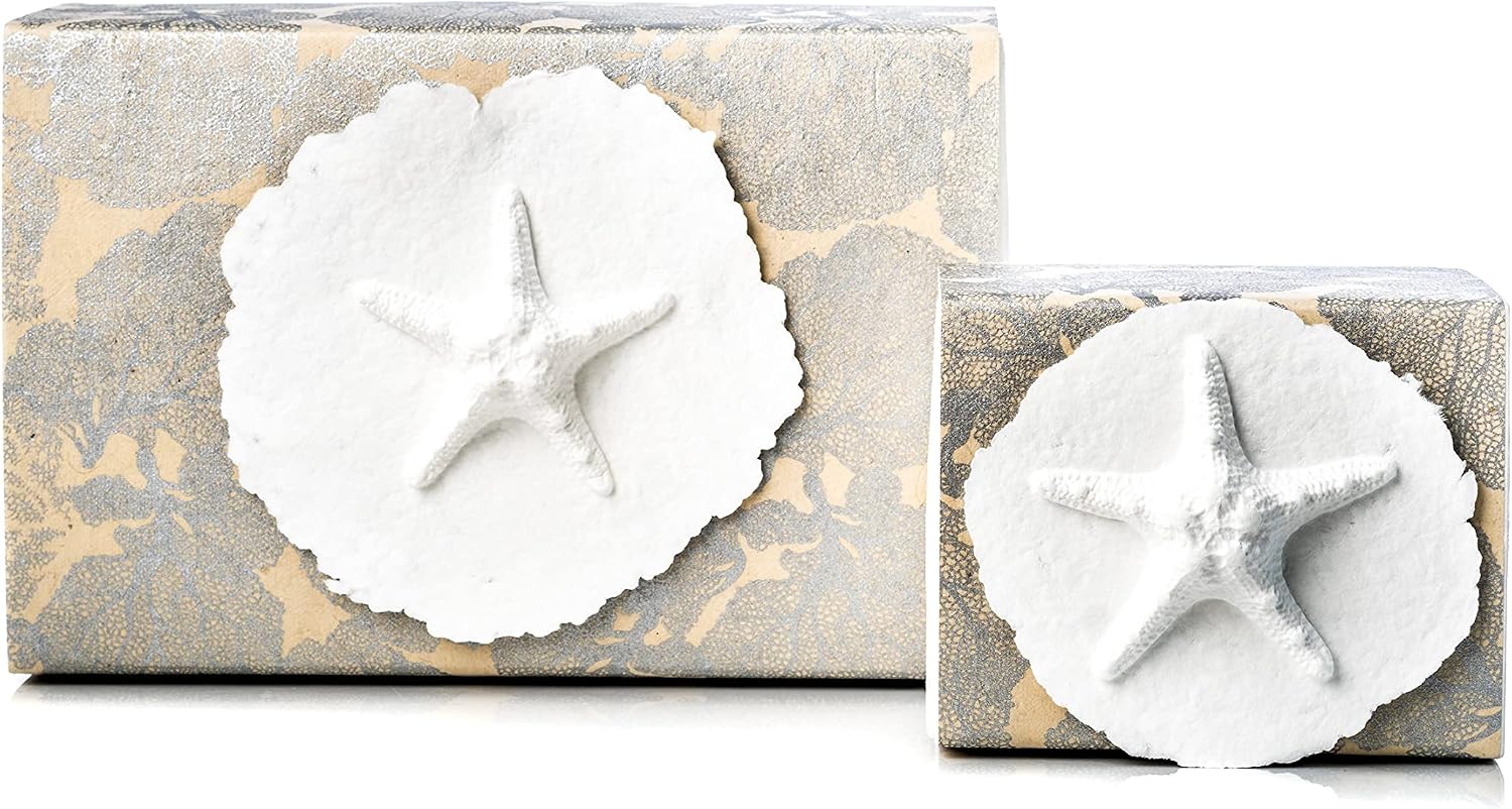 The Favorite Place Biodegradable Urn for Human Ashes, Small Starfish Urn Box with Silver Coral