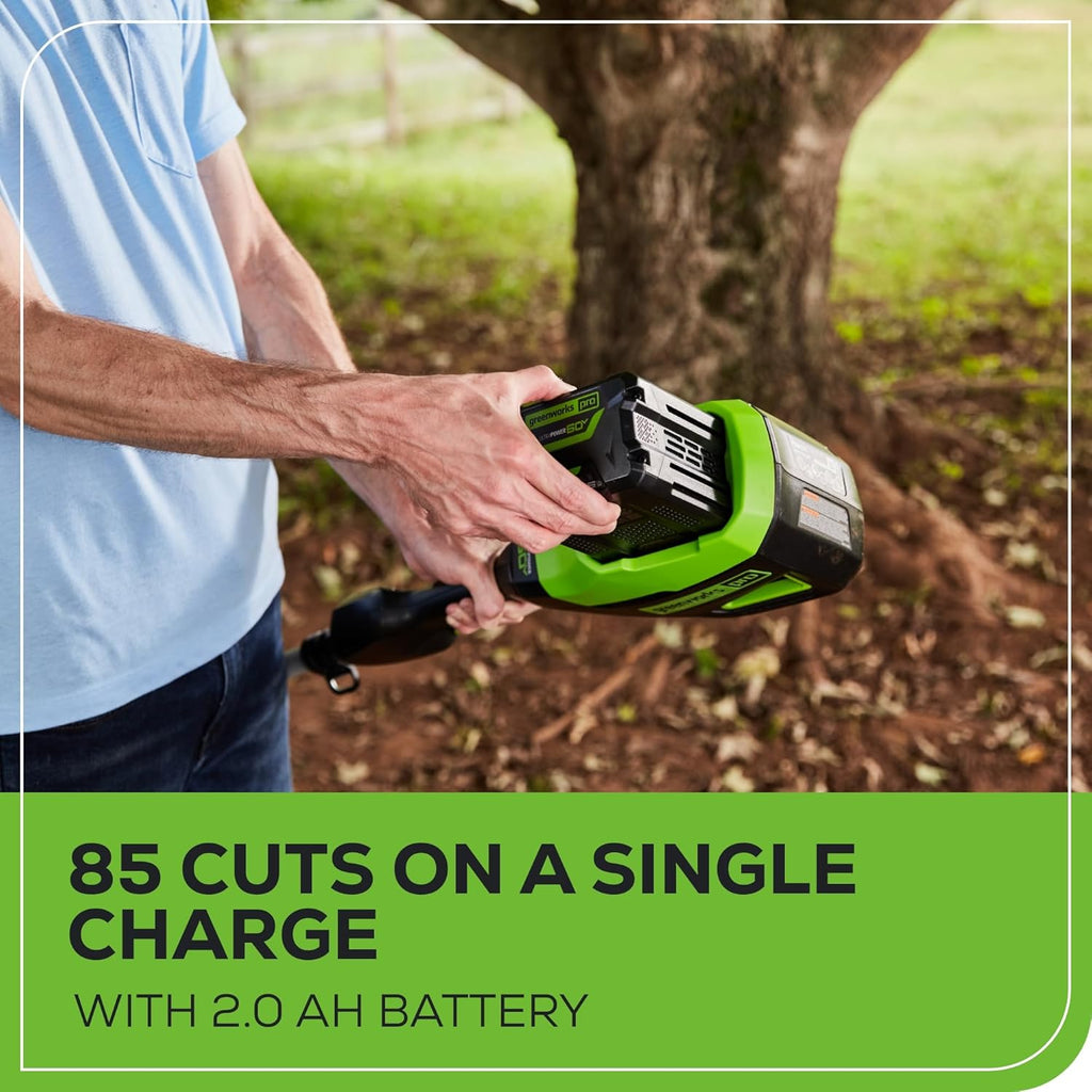 60V 10 in Electric Pole Saw, 2.0 Ah Battery and Charger