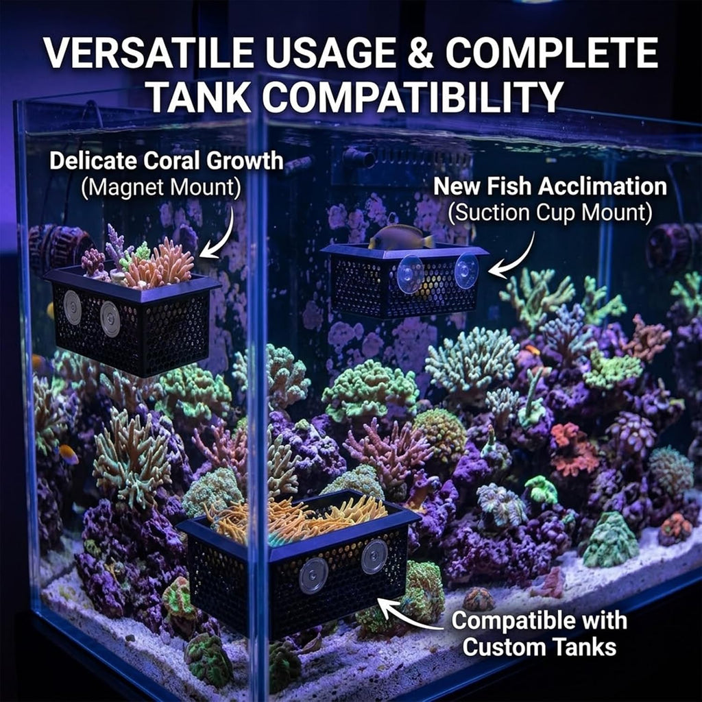 Floating Coral Frag Rack and Fish Isolation Box for Saltwater Reef Tank, 4x6 Inch Saltwater Coral Frag Holder with