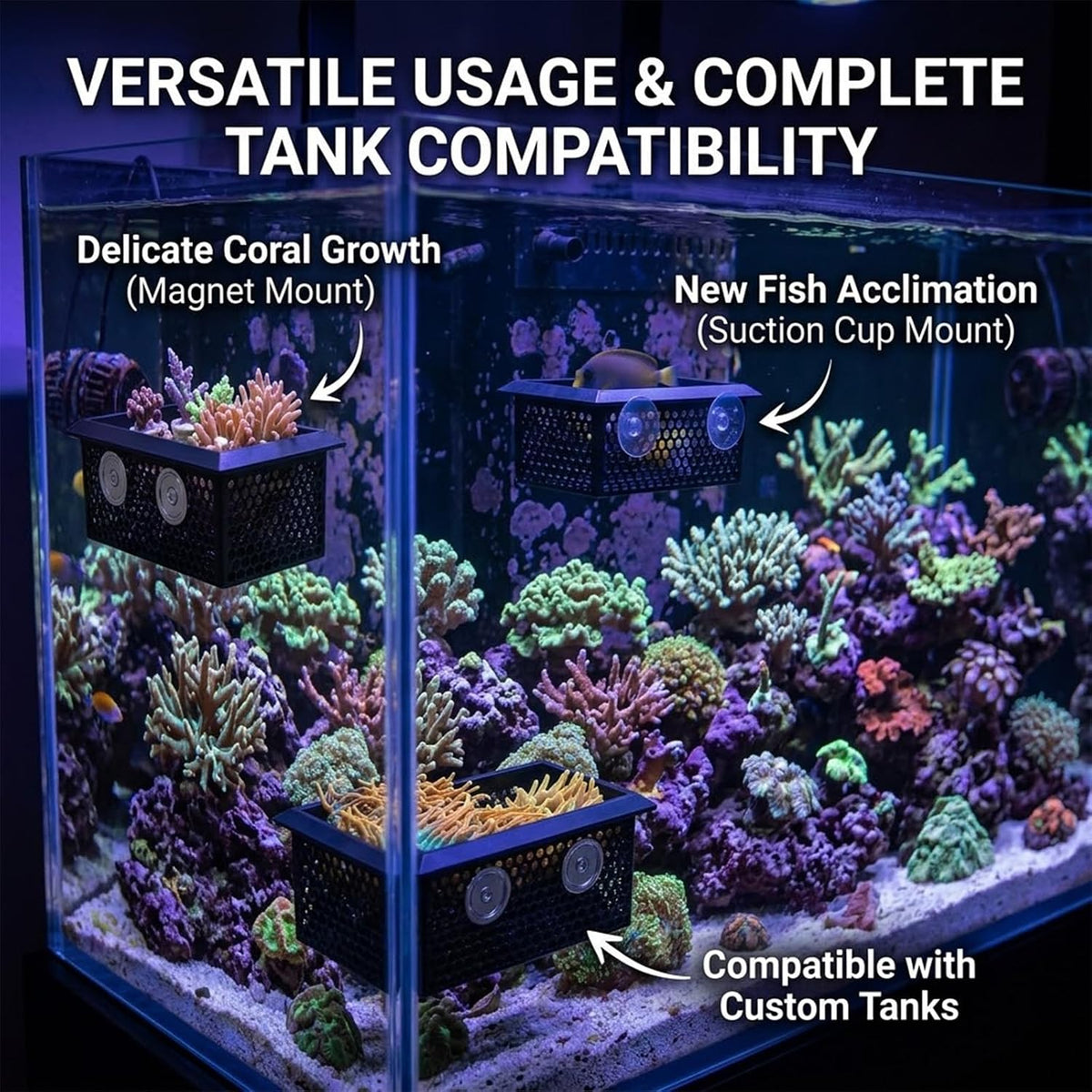 Floating Coral Frag Rack and Fish Isolation Box for Saltwater Reef Tank, 4x6 Inch Saltwater Coral Frag Holder with
